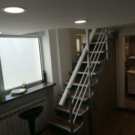 Classy And Cozy - Parking - 3 Beds - Near Center Novi Sad Eksteriør bilde