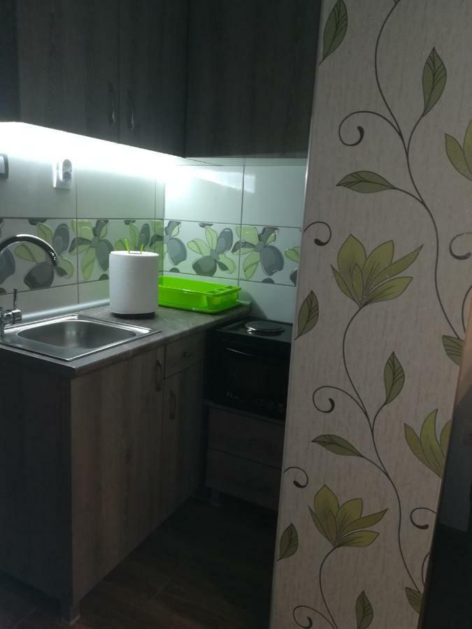 Classy And Cozy - Parking - 3 Beds - Near Center Novi Sad Eksteriør bilde